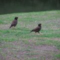 IMG_2626