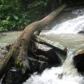 IMG_2827